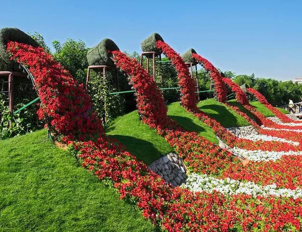 Flower show