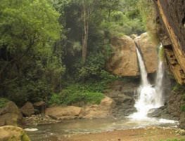 Law's Falls